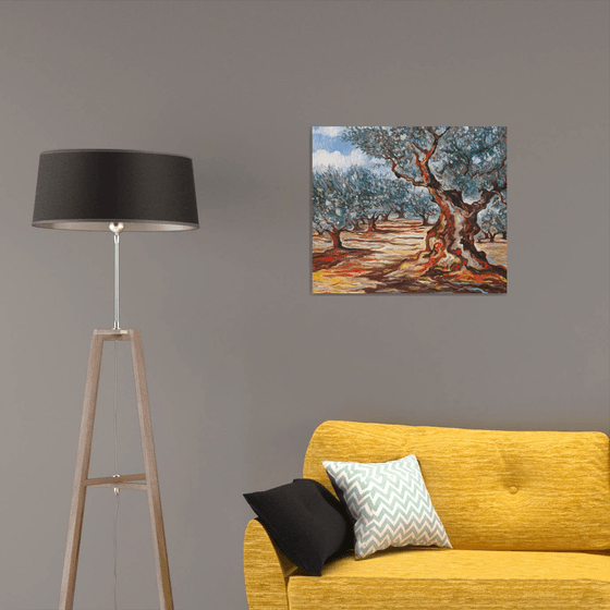 Olive Grove