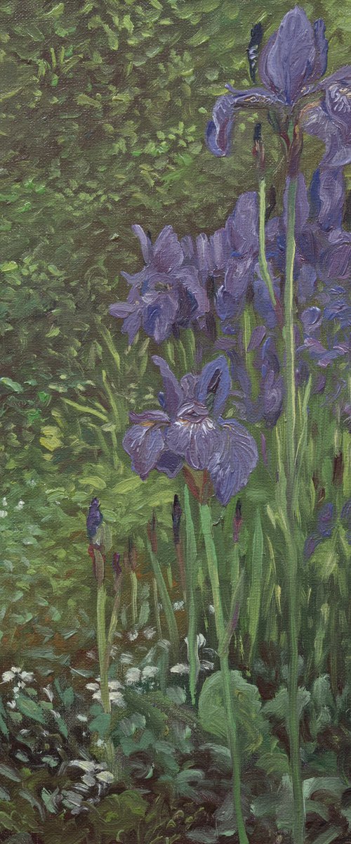 Irises by Wojciech Pater