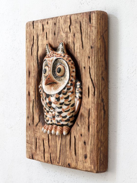 Owl