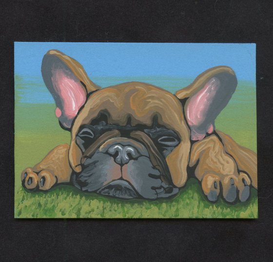 ACEO ATC Original Painting French Bulldog Frenchie Dog Art-Carla Smale