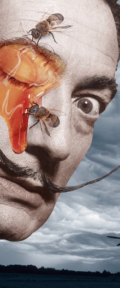 Portrait of Salvador Dali (No:3) by Tan Tolga Demirci