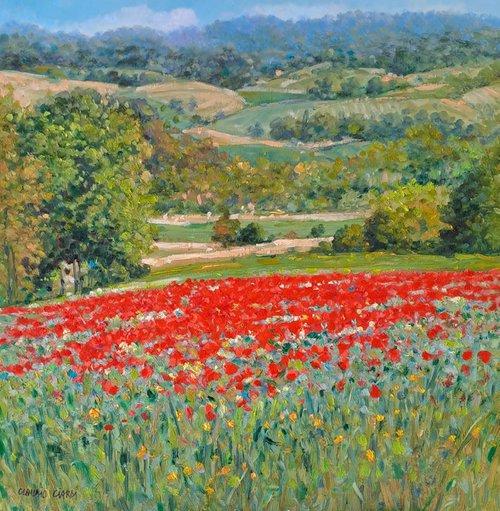 Poppy fields in Tuscany by Claudio Ciardi