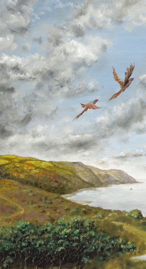 Showers Over Bossington by Tim Wetherell