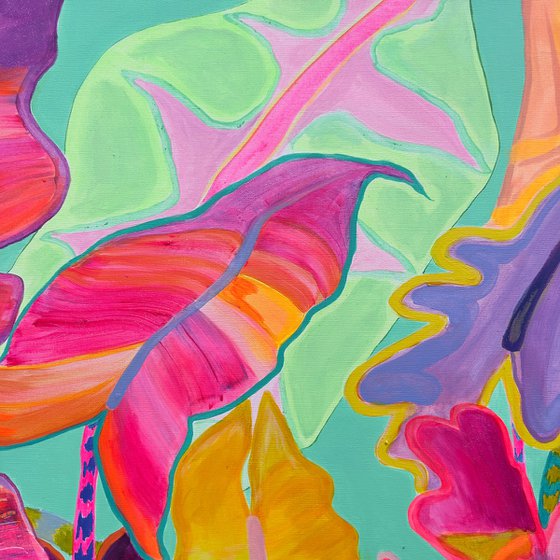 'Rainbow Alocasia'