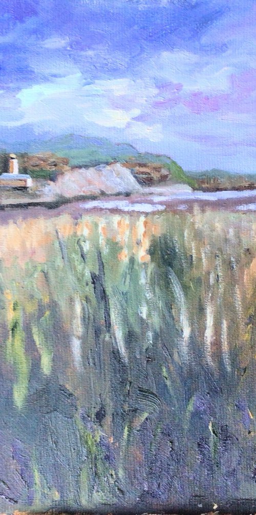 Wetlands at Pegwell by Julian Lovegrove Art