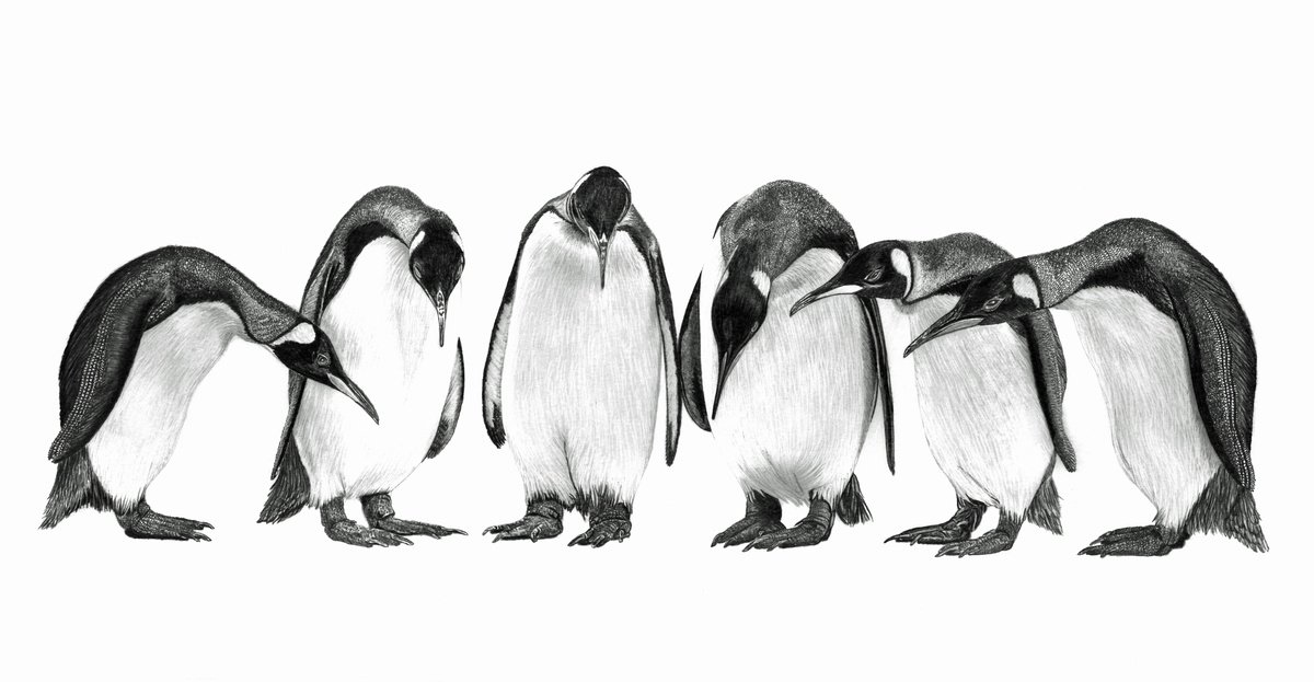 Penguin Conference by Paul Stowe