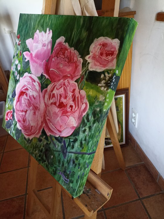 Pink roses