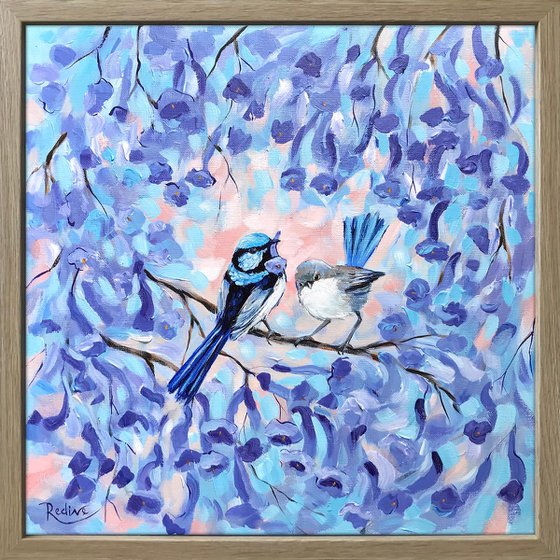 Blue Wrens in Jacaranda