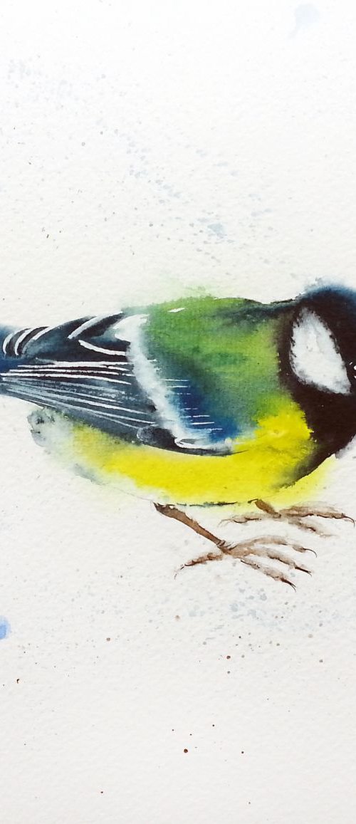 Great tit #3 - bird, birds, an by Olga Beliaeva Watercolour