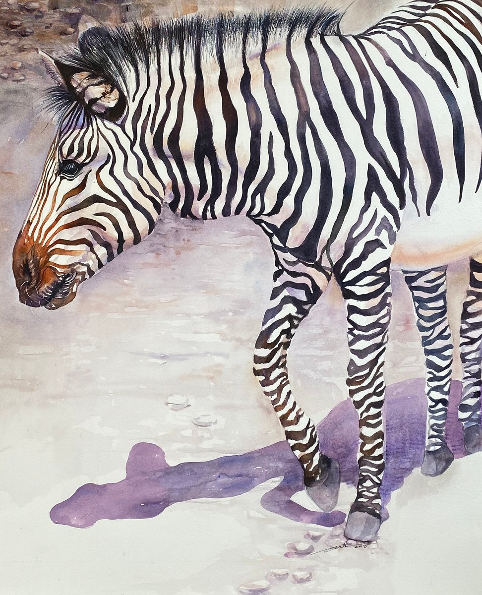 Photorealistic Watercolour , The Wanderer_ Zebra By Arti Chauhan, 18 X 22, Artwork For Sale On Artfinder