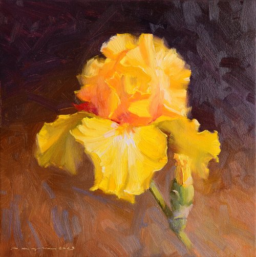 Yellow iris by Ruslan Kiprych
