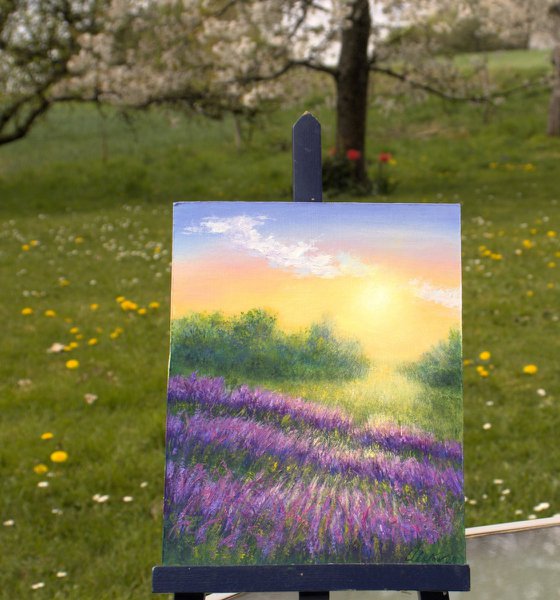 Sunrise at lavender field