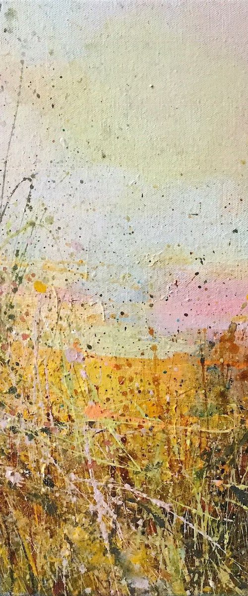 Winter Light Winter Fields by Sandy Dooley
