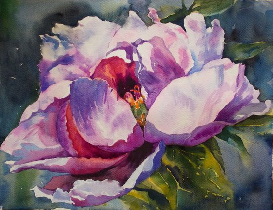 PINK PEONY#2