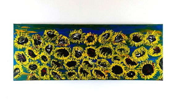 Blooming sunflowers 3