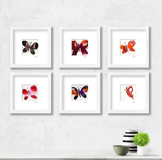 Butterfly Collection 1