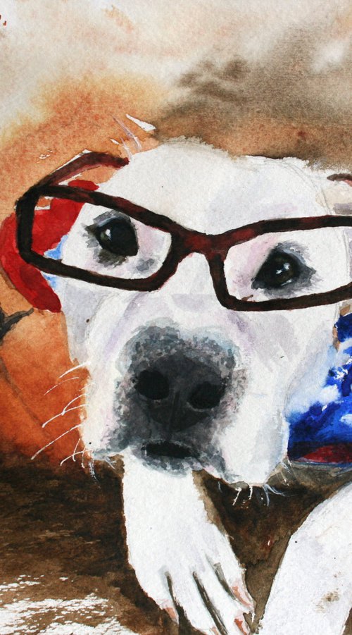Pet portrait III. American bulldog... /  ORIGINAL PAINTING by Salana Art Gallery