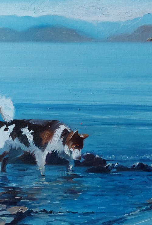 Sea walk dog by Nataly Derevyanko