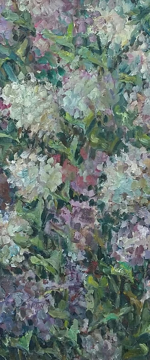 Lilac by Elena Klyan