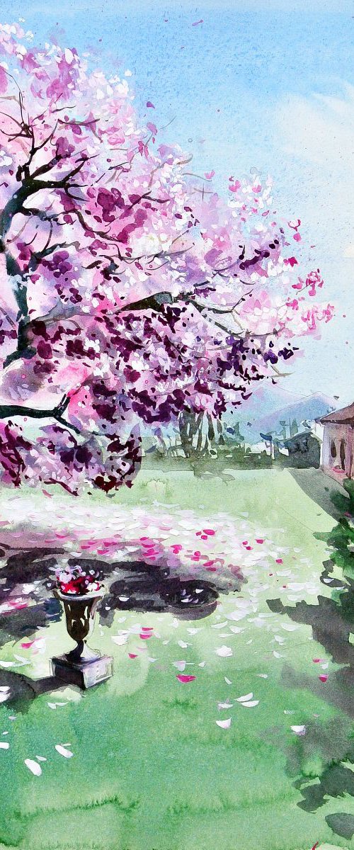 Magnolia from Renens by Ksenia Astakhova