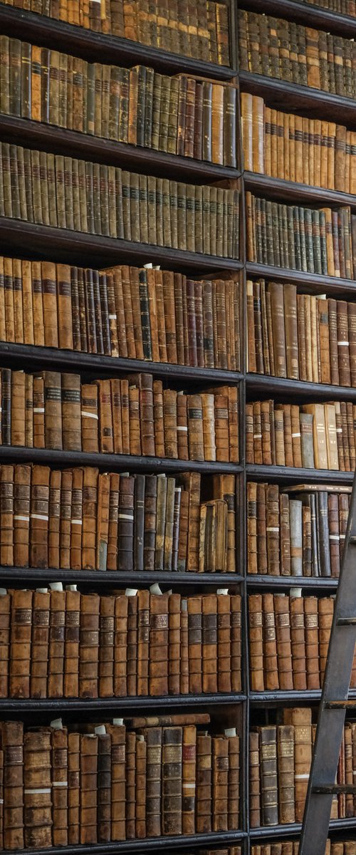 Ladder to Knowledge by Gilliard Bressan