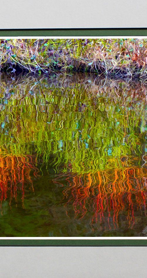 Riverbank Reflections by Robin Clarke