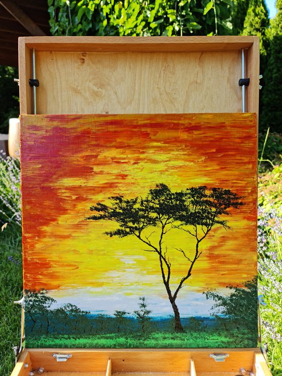 Sunny tree