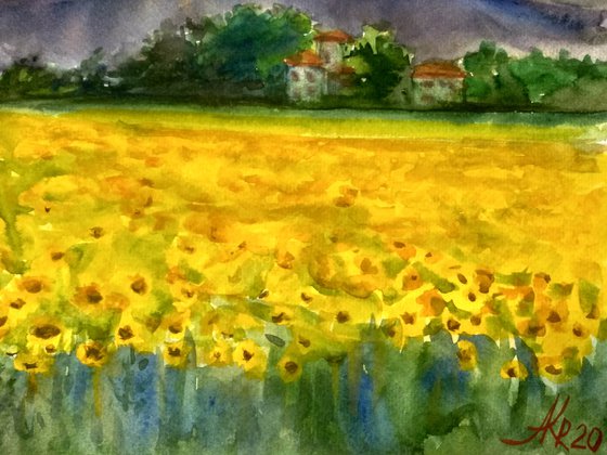 Landscape with sunflowers