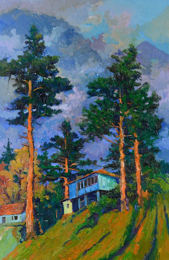 Pine Forest, After the Rain