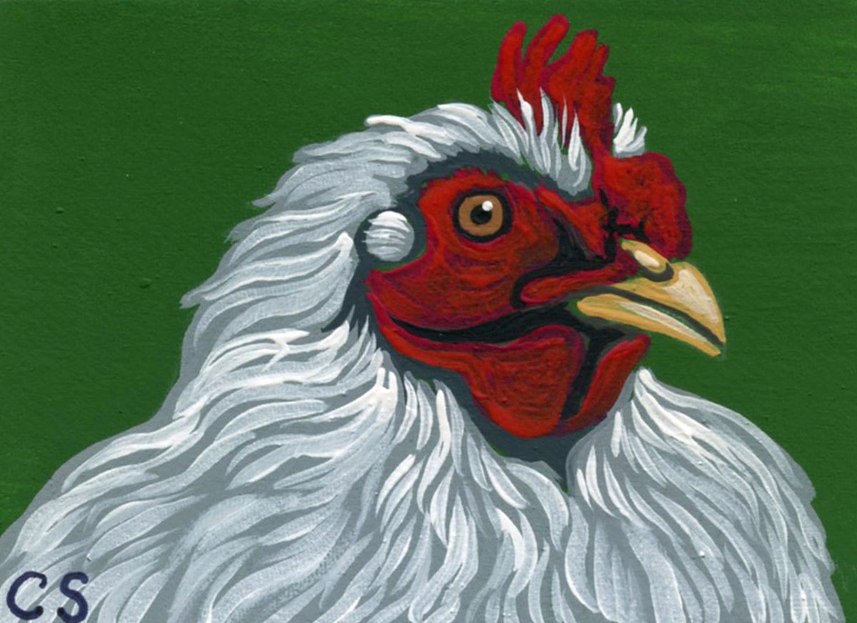 ACEO ATC Original Miniature Painting White Chicken Farmyard Art-Carla Smale by carla smale