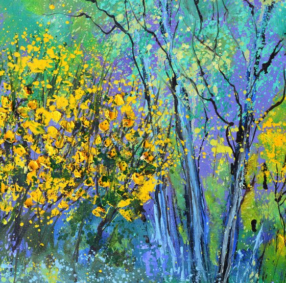 Yellow broom flowers