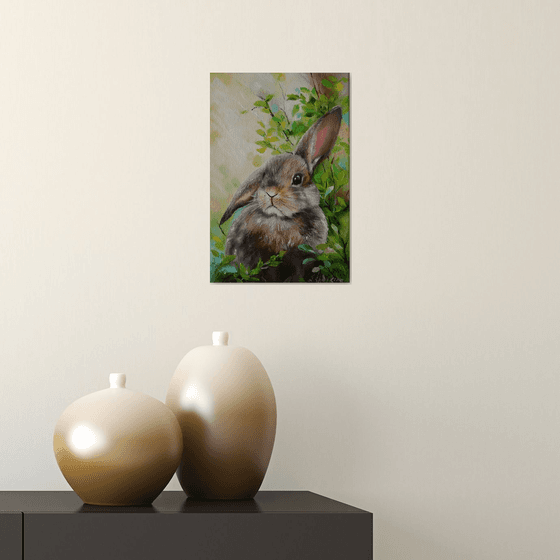 Rabbit Portrait