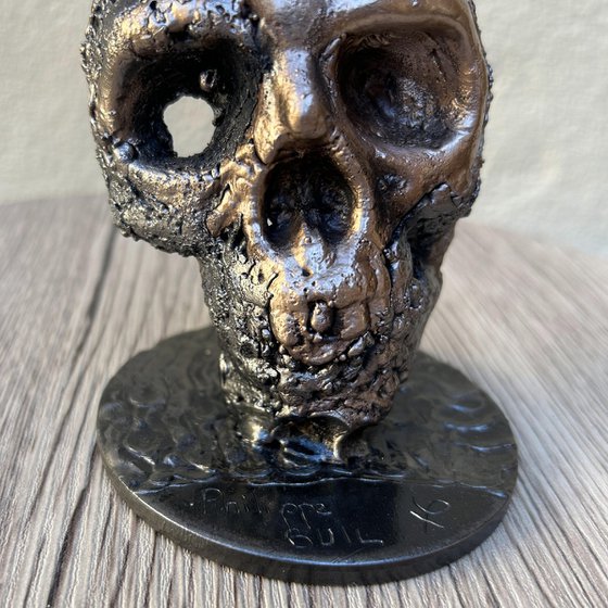 Skull 74-23