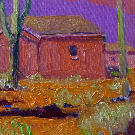 Pink Evening, Saguaro