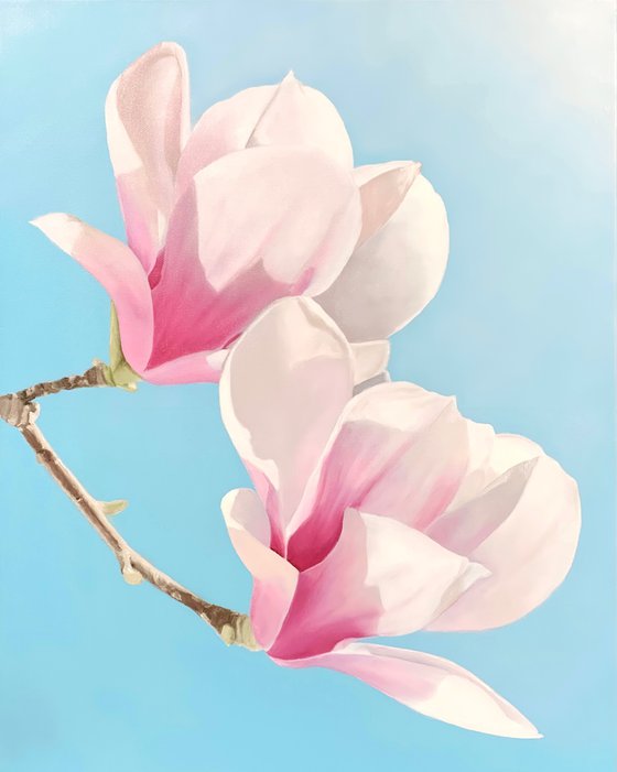 Stunning Blooms. Magnolia.