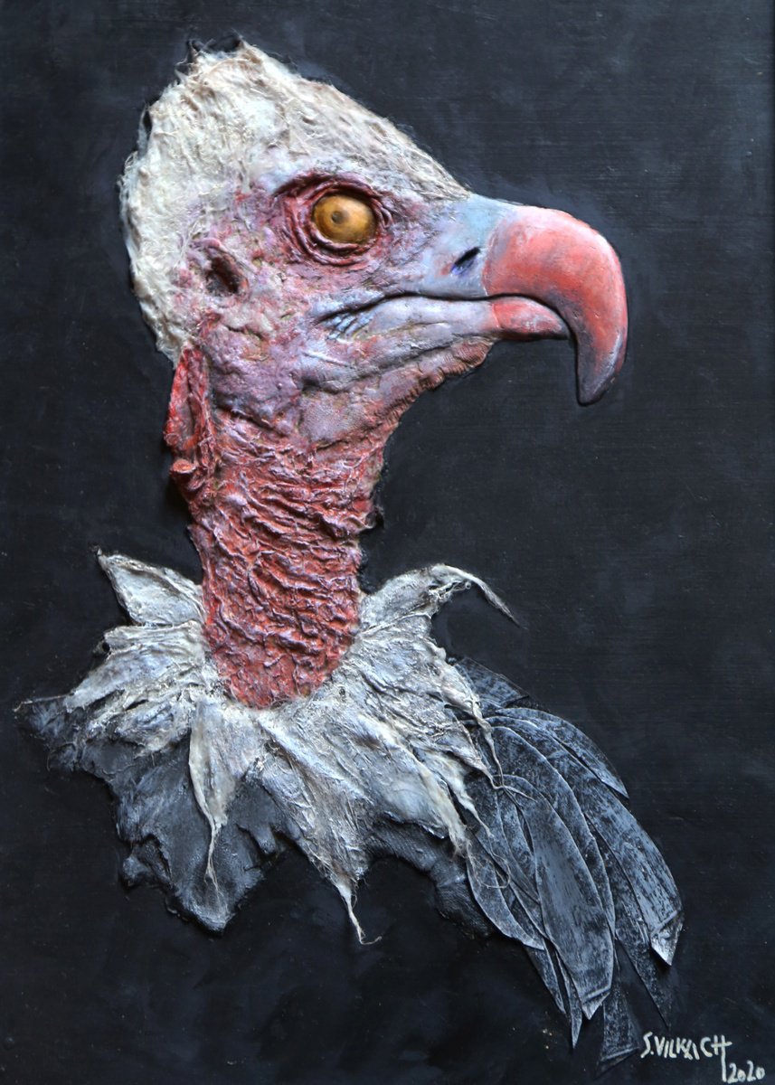 vulture by Sol Vil