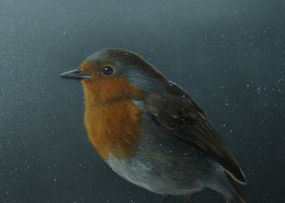 Lockdown's Morning Chorus Series - Robin in the Snow, Bird Artwork, Animal Art Framed