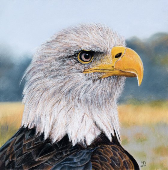 Original pastel drawing "Bald eagle"
