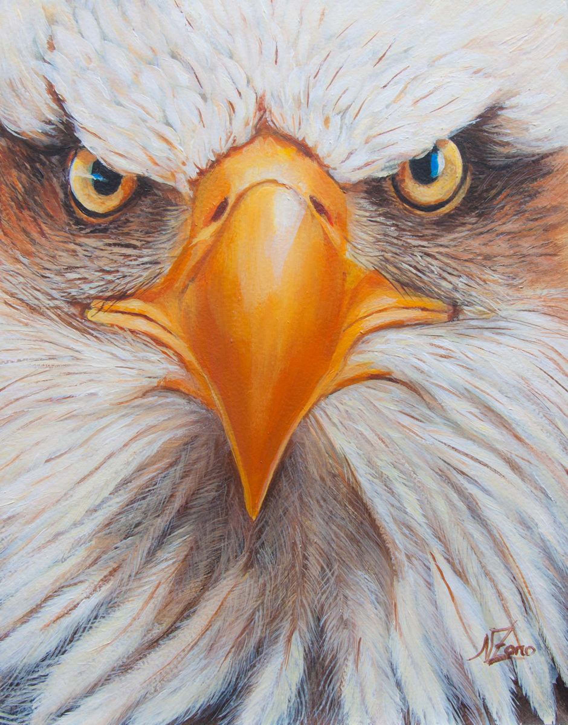 Eagle Face By Norma Beatriz Zaro Artfinder
