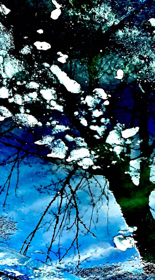 Shattered Reflection by Julien Boissaud