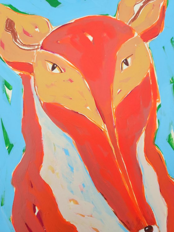 Red fox