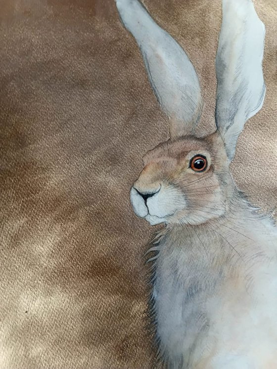 'TALIESINS HARE'