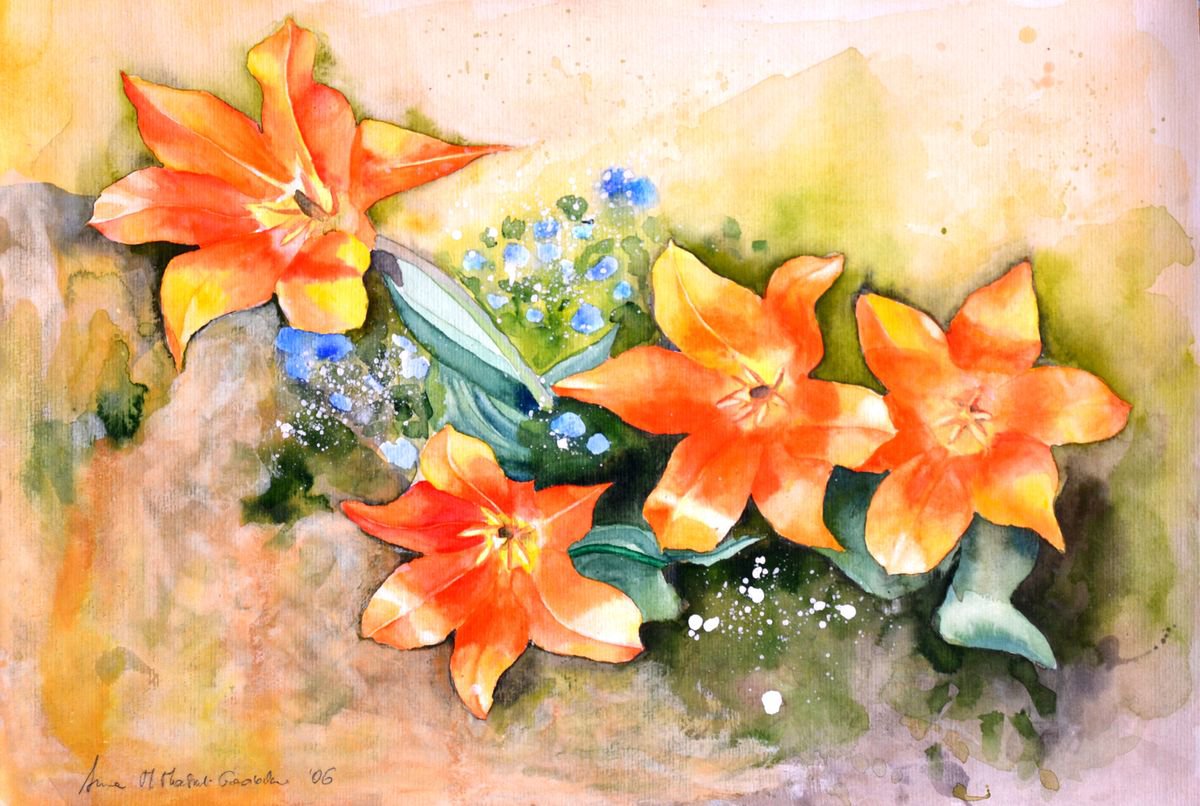 Orange Tulips In The Sun by Anna Masiul-Gozdecka