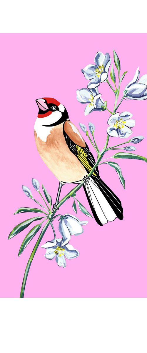 Goldfinch and Bellflower (print) by Fran Giffard