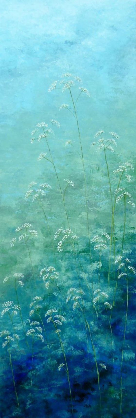 Cow Parsley with blue