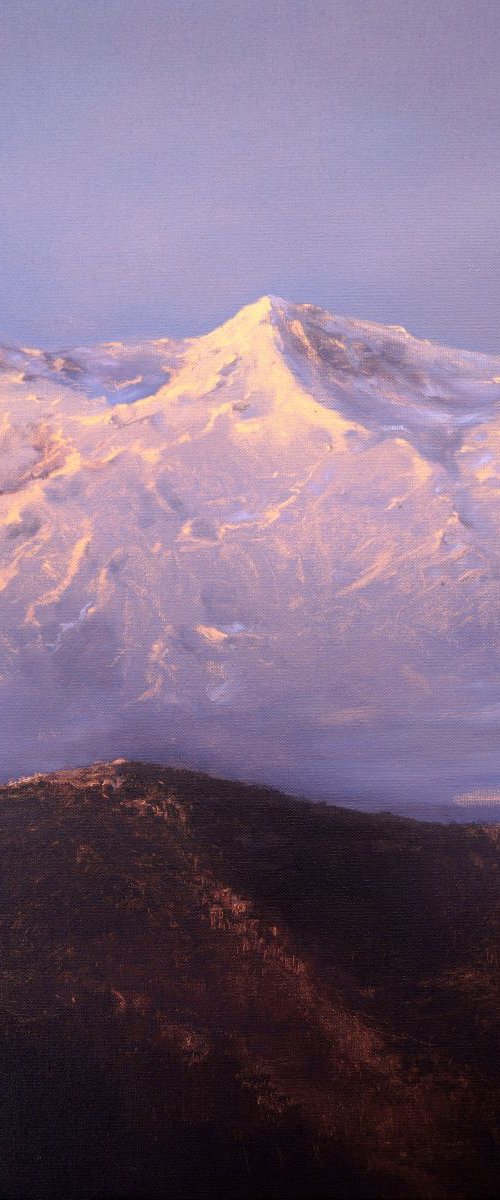 ALPINO by Rafael Carrascal