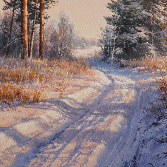 Snow-covered path