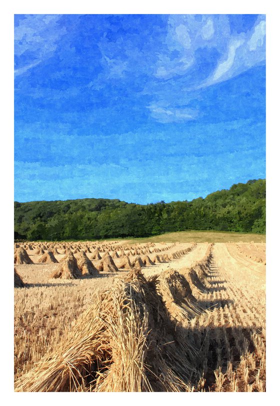 Wheat Stacks