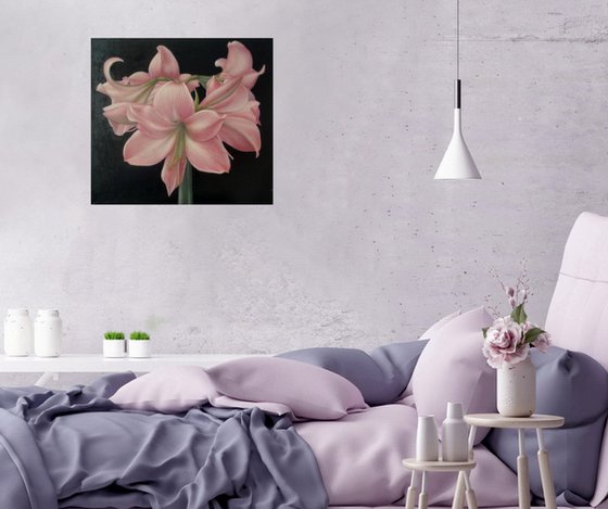 "Pink amaryllis"