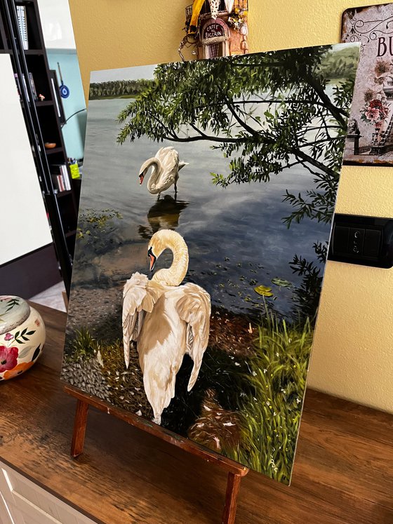 Swans at the Lake (50x40 cm)